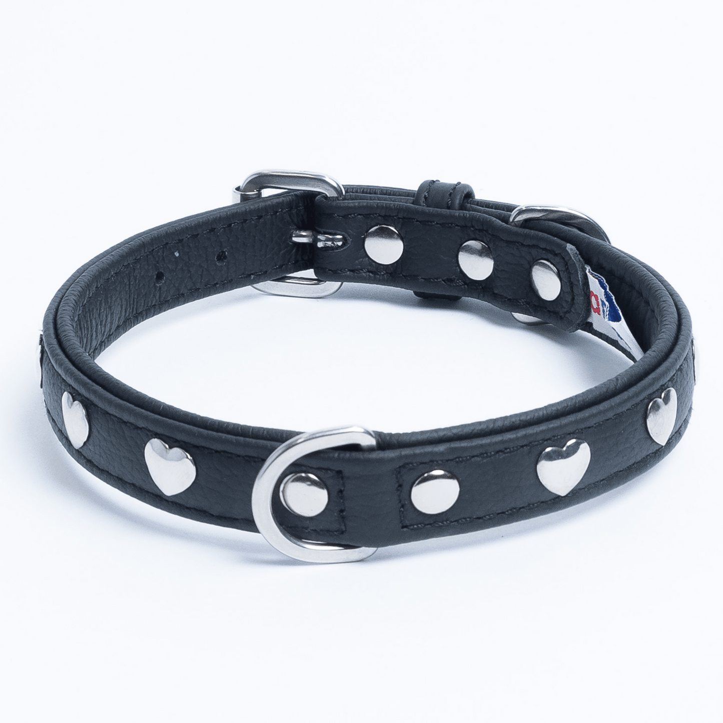 Rotterdam Hearts - Stylish Heart Fittings for Your Beloved Dog