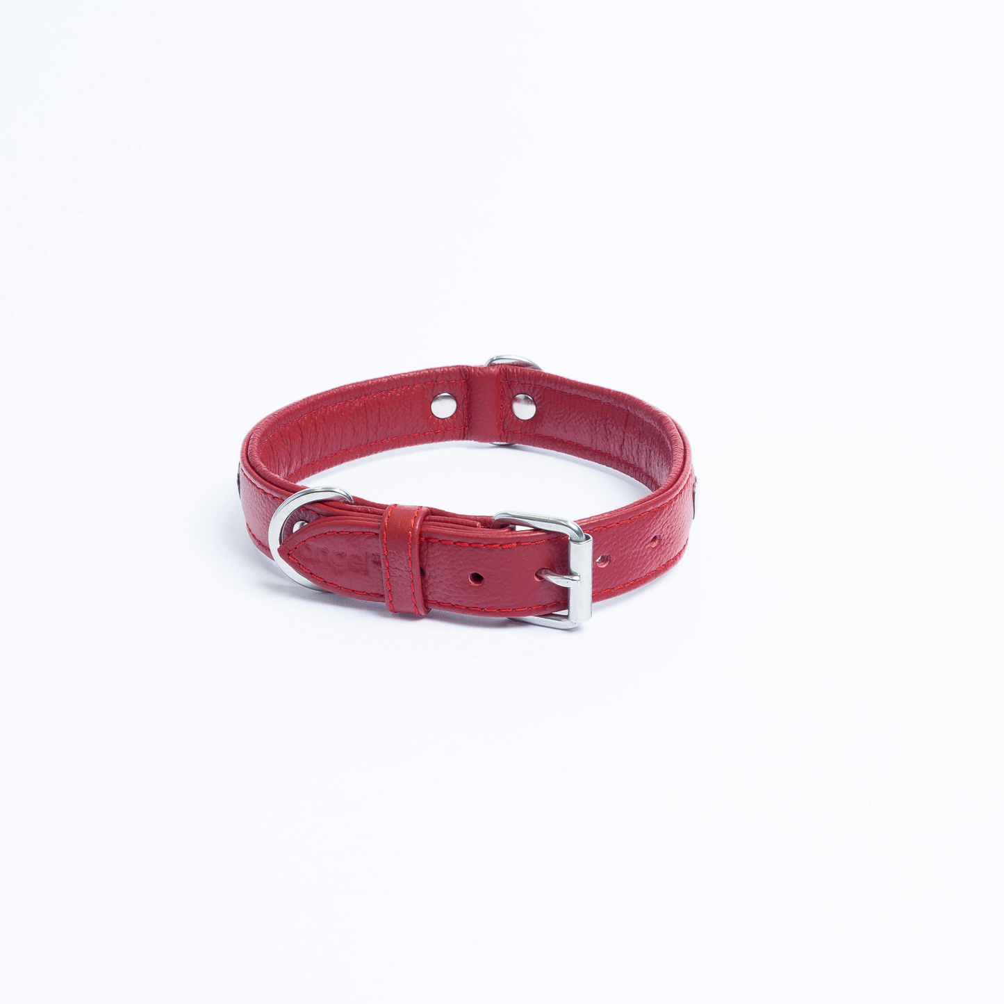 Rotterdam Hearts - Stylish Heart Fittings for Your Beloved Dog
