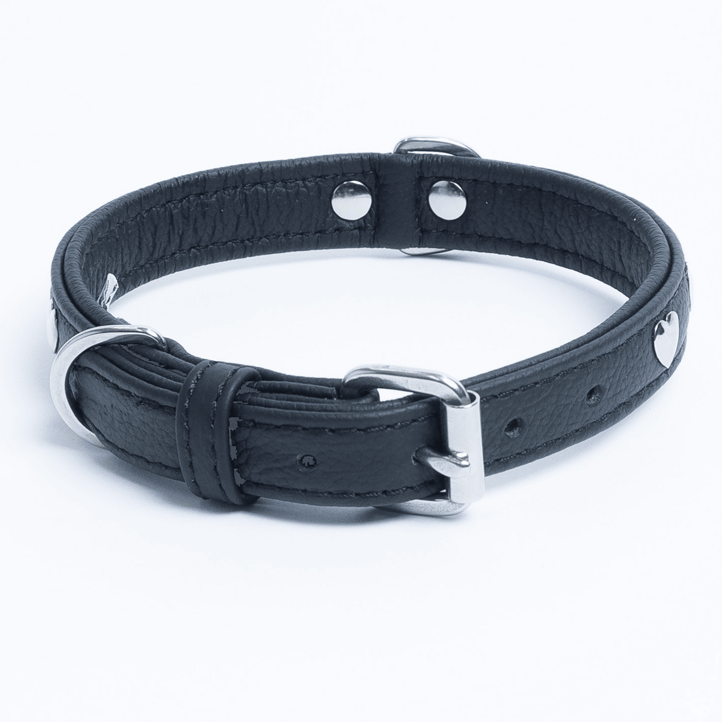 Rotterdam Hearts - Stylish Heart Fittings for Your Beloved Dog