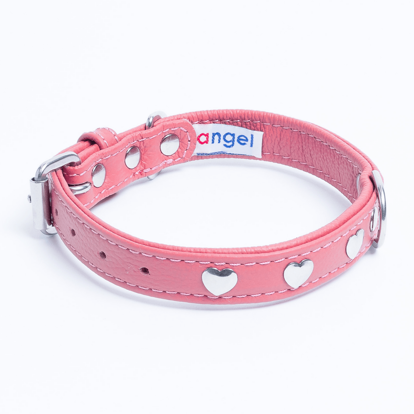 Rotterdam Hearts - Stylish Heart Fittings for Your Beloved Dog