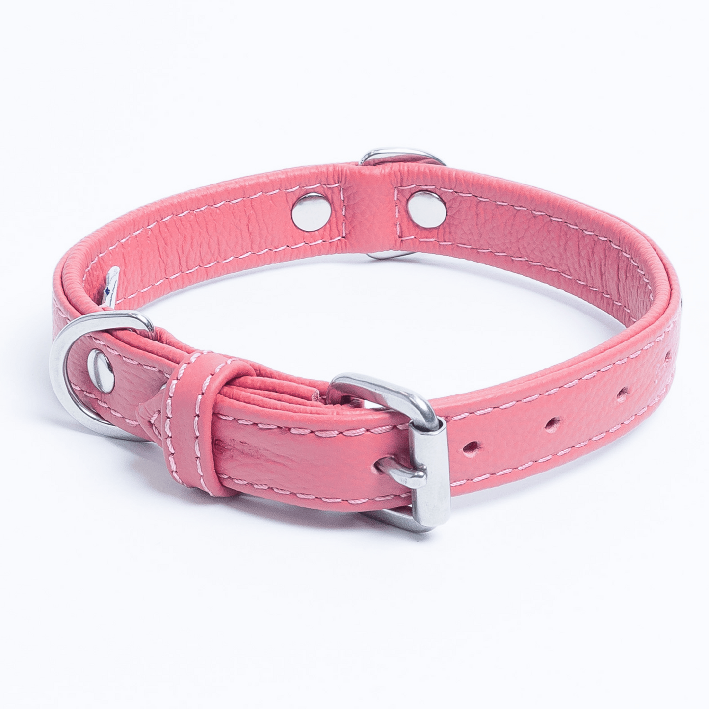 Rotterdam Hearts - Stylish Heart Fittings for Your Beloved Dog