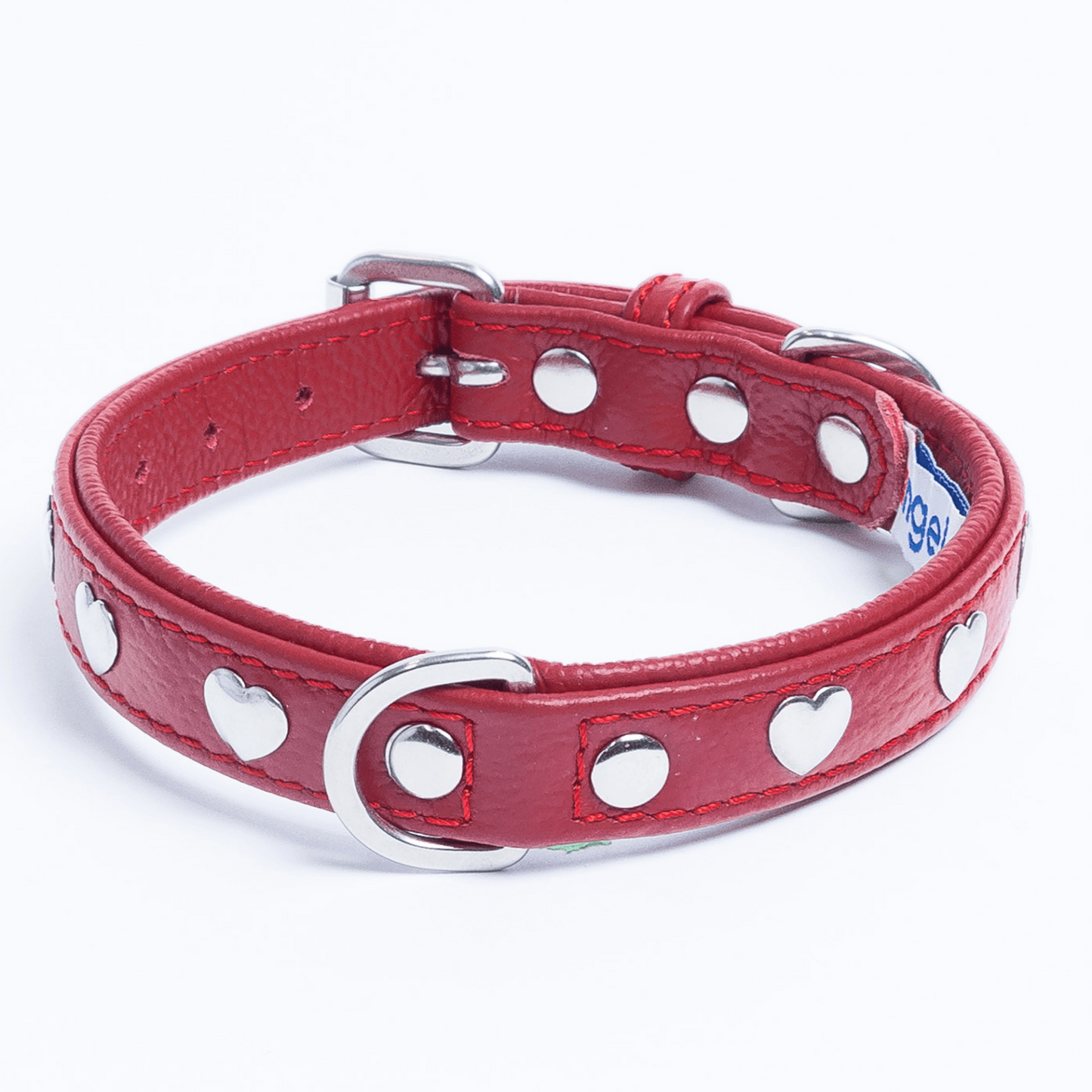 Rotterdam Hearts - Stylish Heart Fittings for Your Beloved Dog