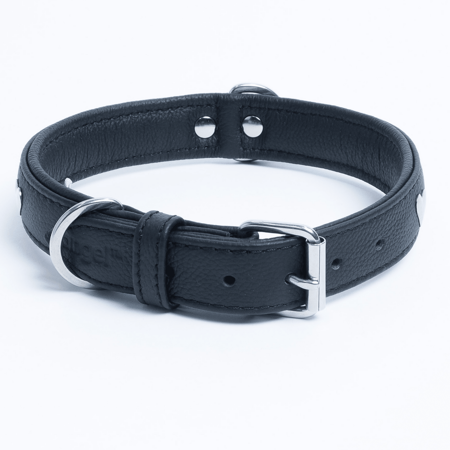 Rotterdam Hearts - Stylish Heart Fittings for Your Beloved Dog