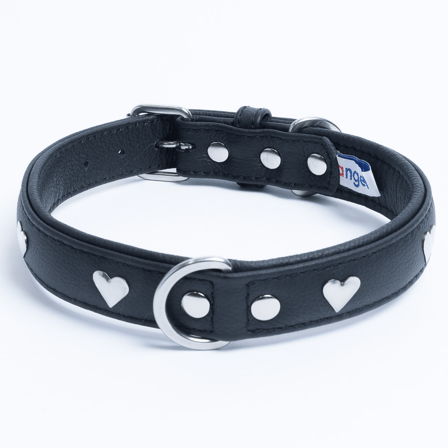 Rotterdam Hearts - Stylish Heart Fittings for Your Beloved Dog
