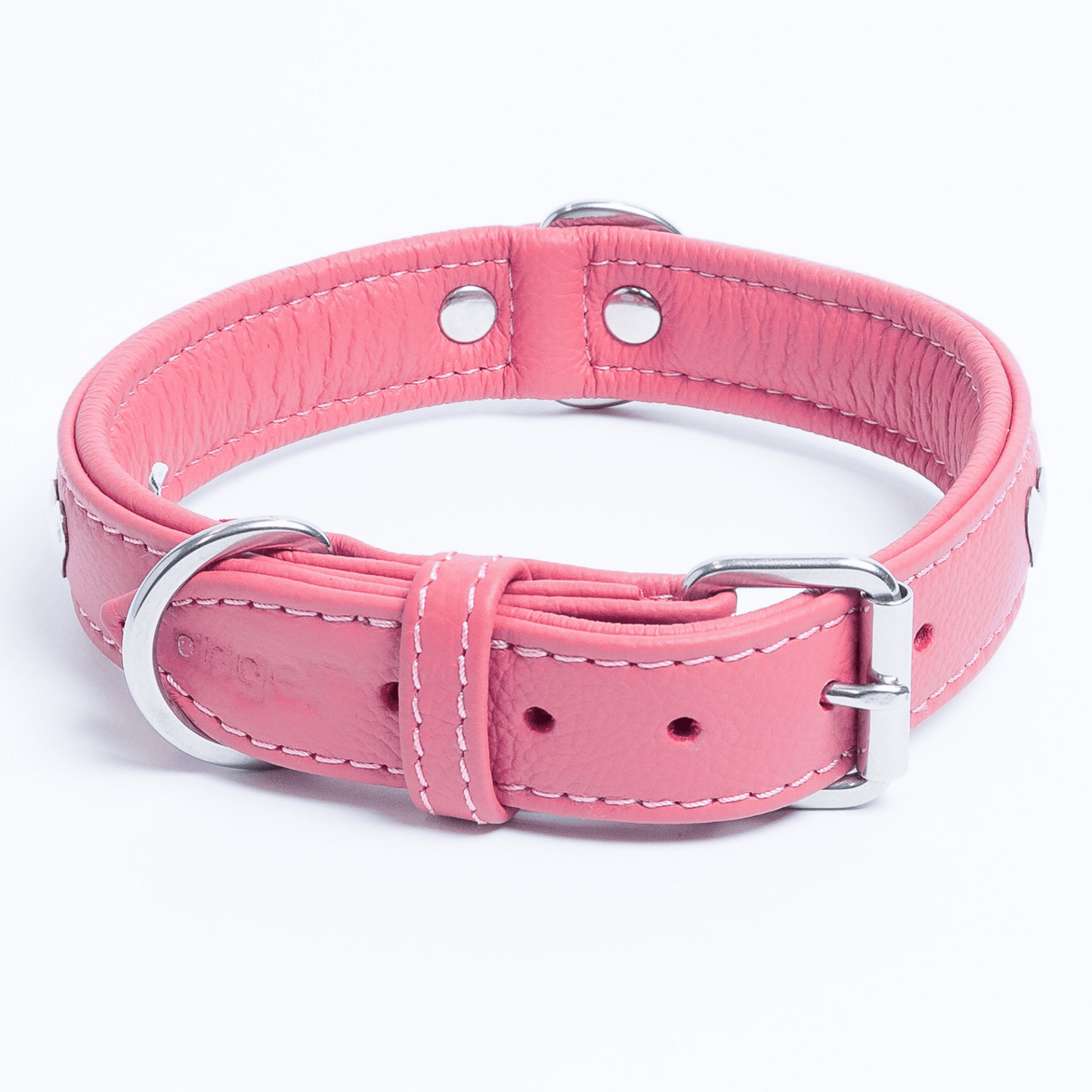 Rotterdam Hearts - Stylish Heart Fittings for Your Beloved Dog