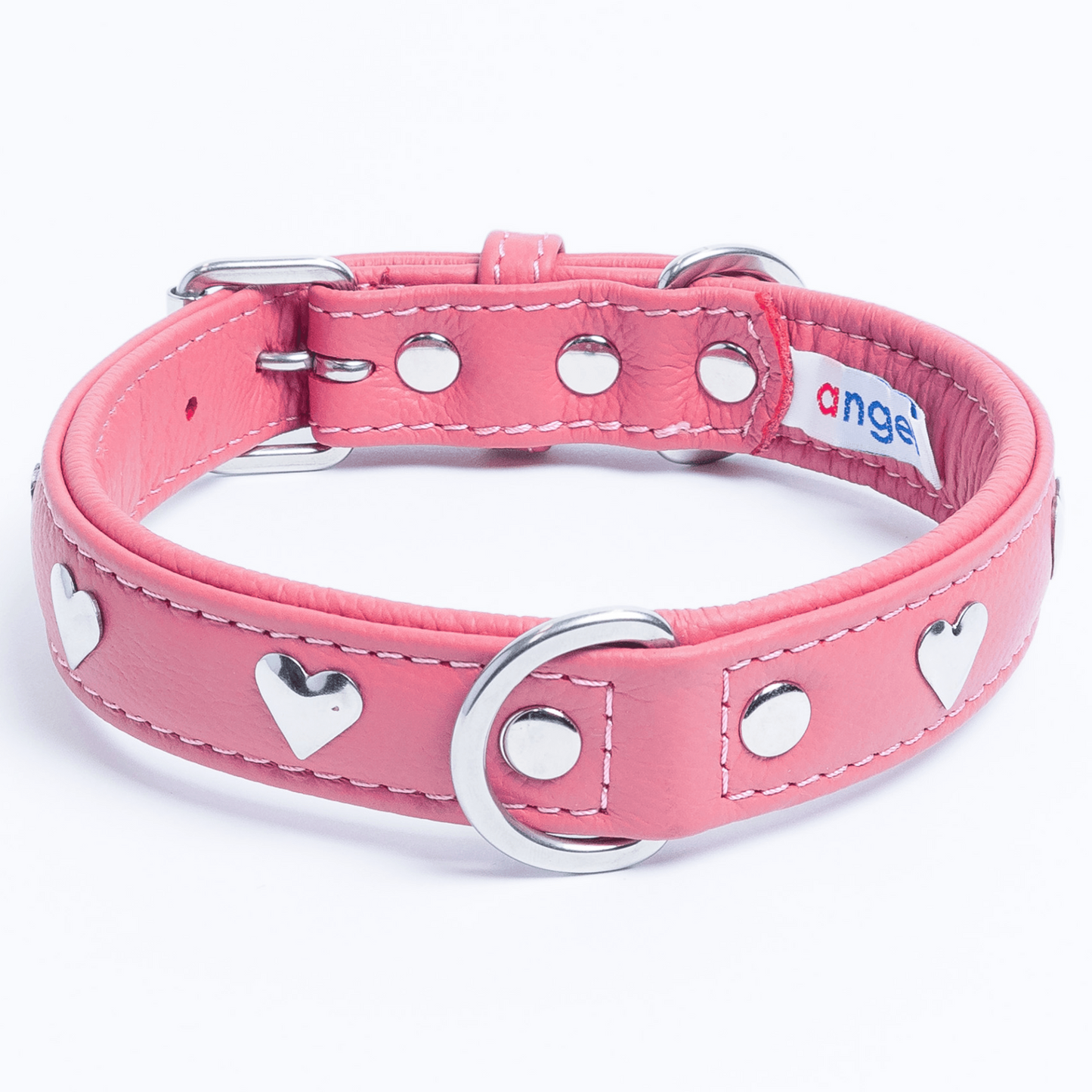 Rotterdam Hearts - Stylish Heart Fittings for Your Beloved Dog