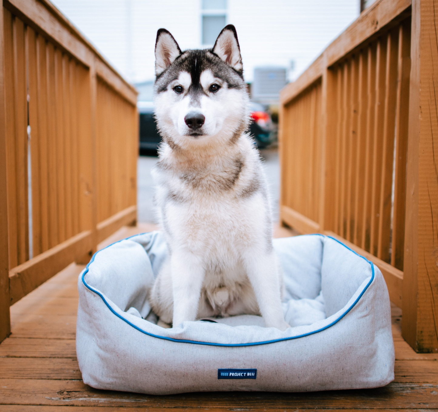 Bondi Eco-Fabric Bolster Dog Bed - Stylish, Durable, and Earth-Friendly