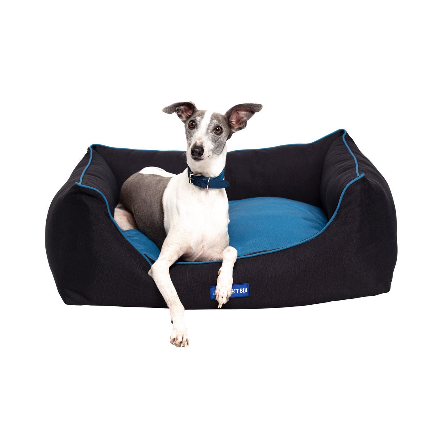 Daytona Eco-Fabric Bolster Dog Bed - Stylish and Durable | YourPetPal