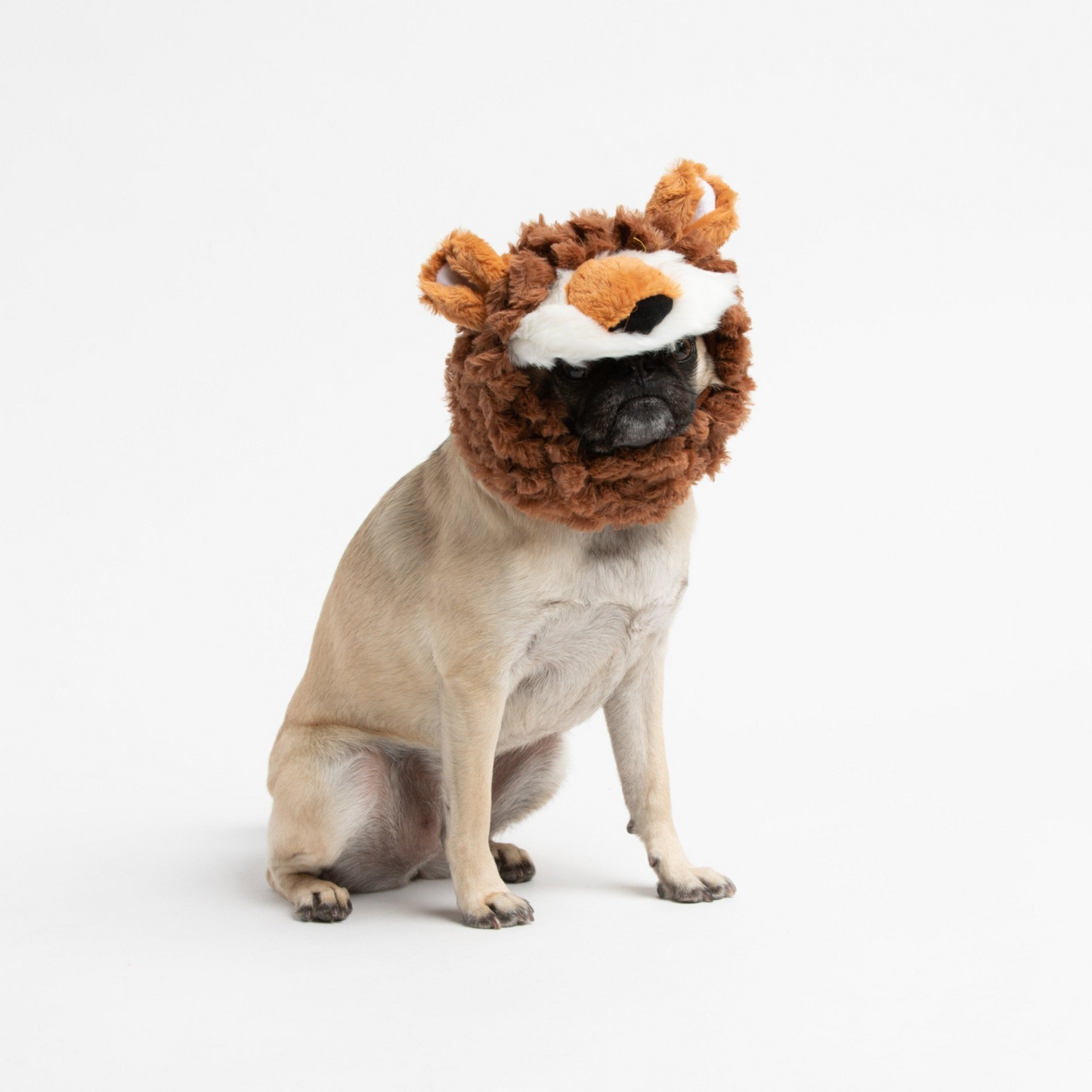 Lion Wig Costume for Dogs | Halloween Lion Hat | Plush Fleece