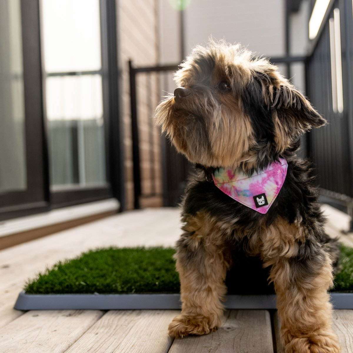 Potty Patch - Reusable Dog Trainer | Indoor and Outdoor Potty Training Solution