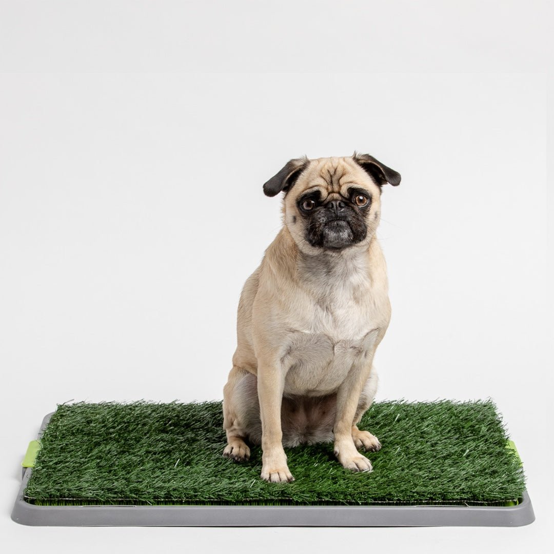 Potty Patch - Reusable Dog Trainer | Indoor and Outdoor Potty Training Solution