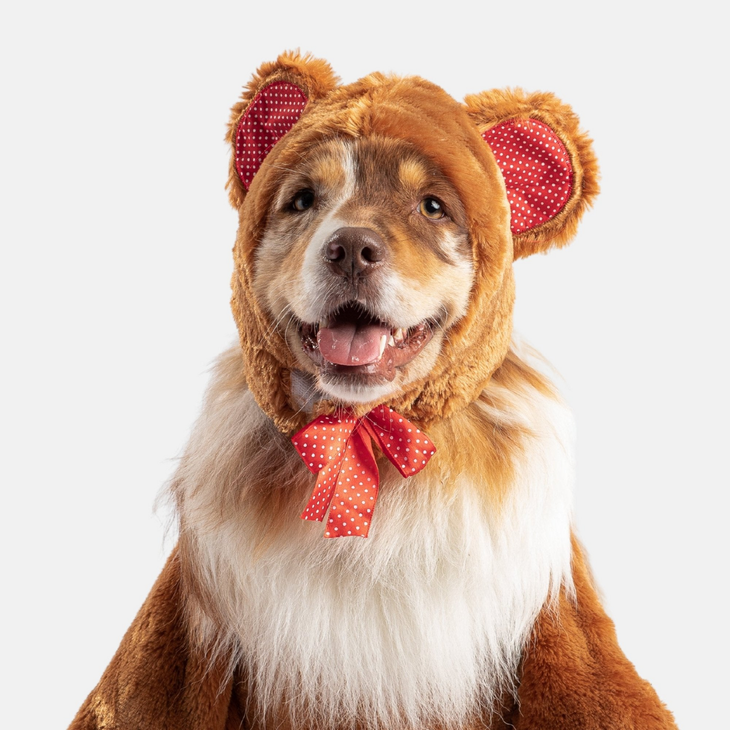 Teddy Bear Dog Costume - Transform Your Pup into a Walking Teddy Bear