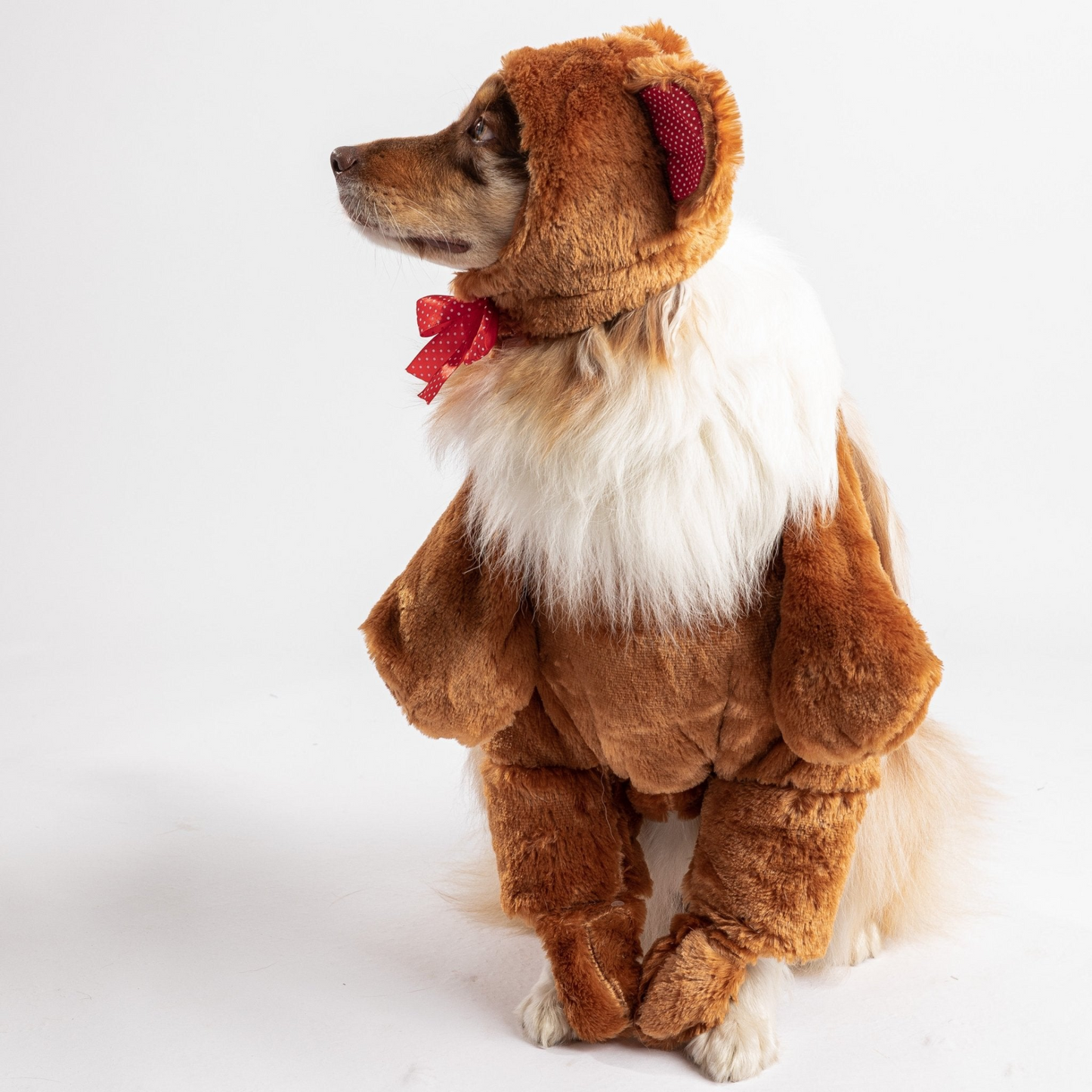 Teddy Bear Dog Costume - Transform Your Pup into a Walking Teddy Bear