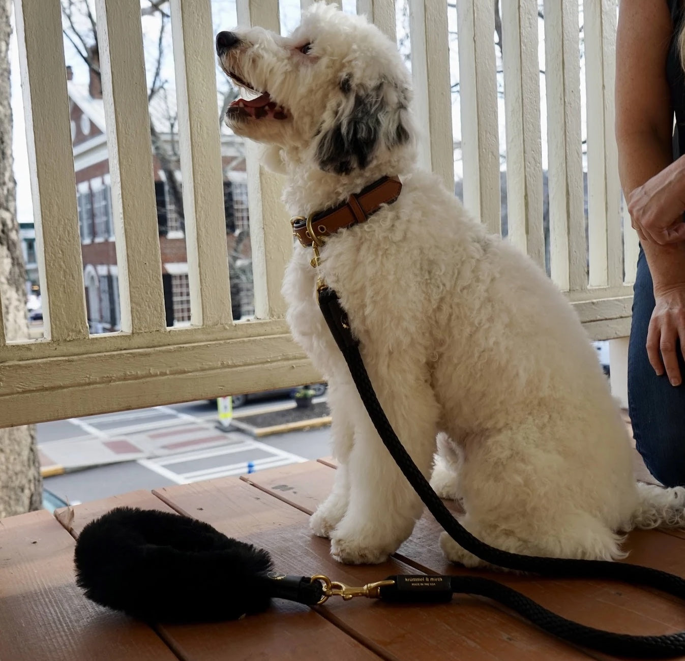 Bundle Shearling Fur Grip + Rope Leash for Dogs - Chic and Functional Dog Walking Accessory