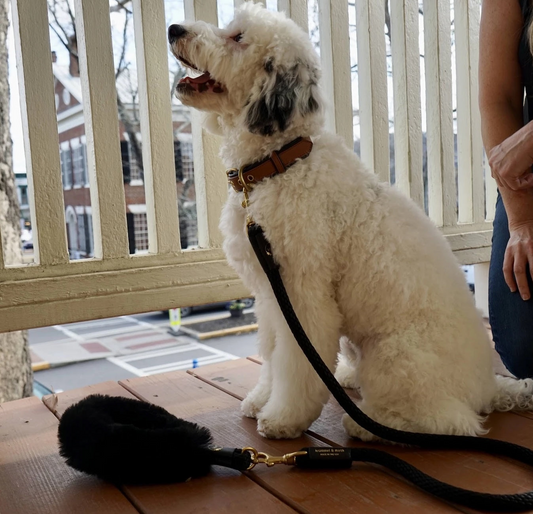 Bundle Shearling Fur Grip + Rope Leash for Dogs - Chic and Functional Dog Walking Accessory