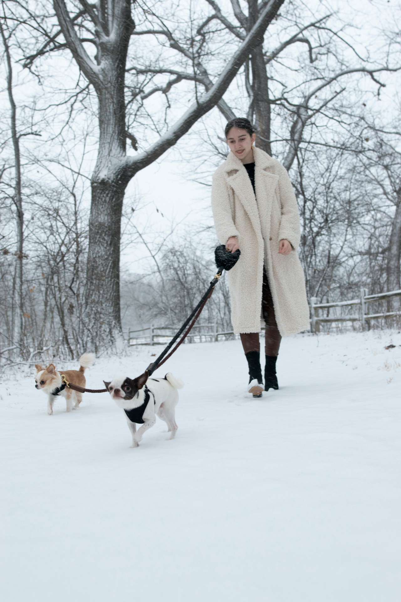 Bundle Shearling Fur Grip + Rope Leash for Dogs - Chic and Functional Dog Walking Accessory