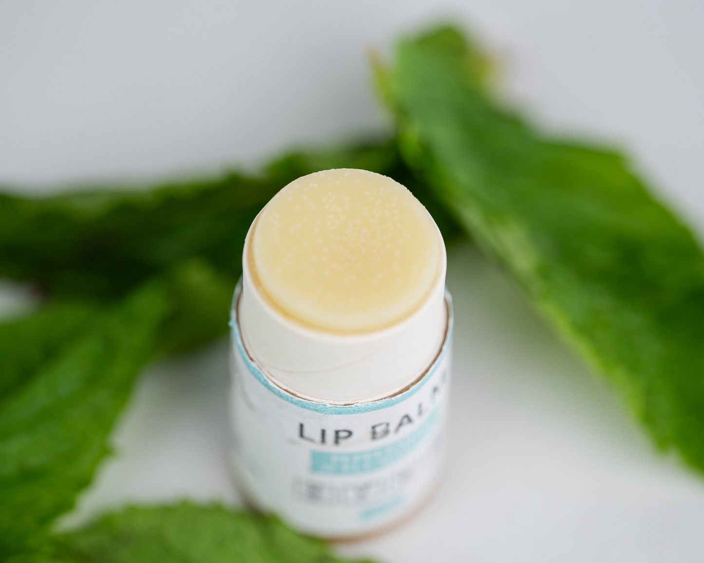 Hydrating Lip Balm Bundle | Set of 5 Soothing Lip Balms