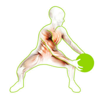 PBLX Medicine Balls - 8 lbs | Increase Core Strength and Joint Integrity