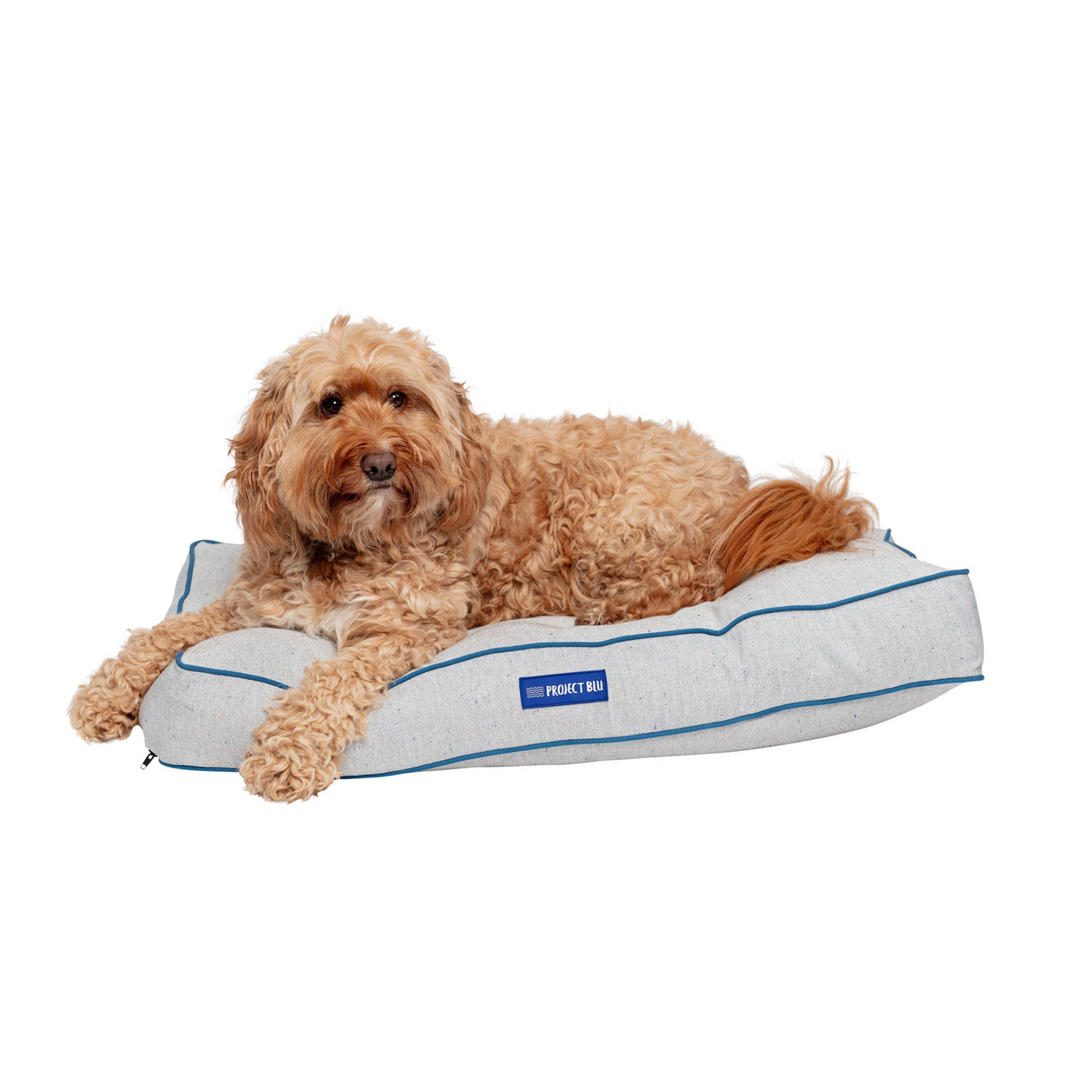 Bondi Eco-Fabric Mattress Dog Bed - Comfortable and Earth-Friendly | Shop Now