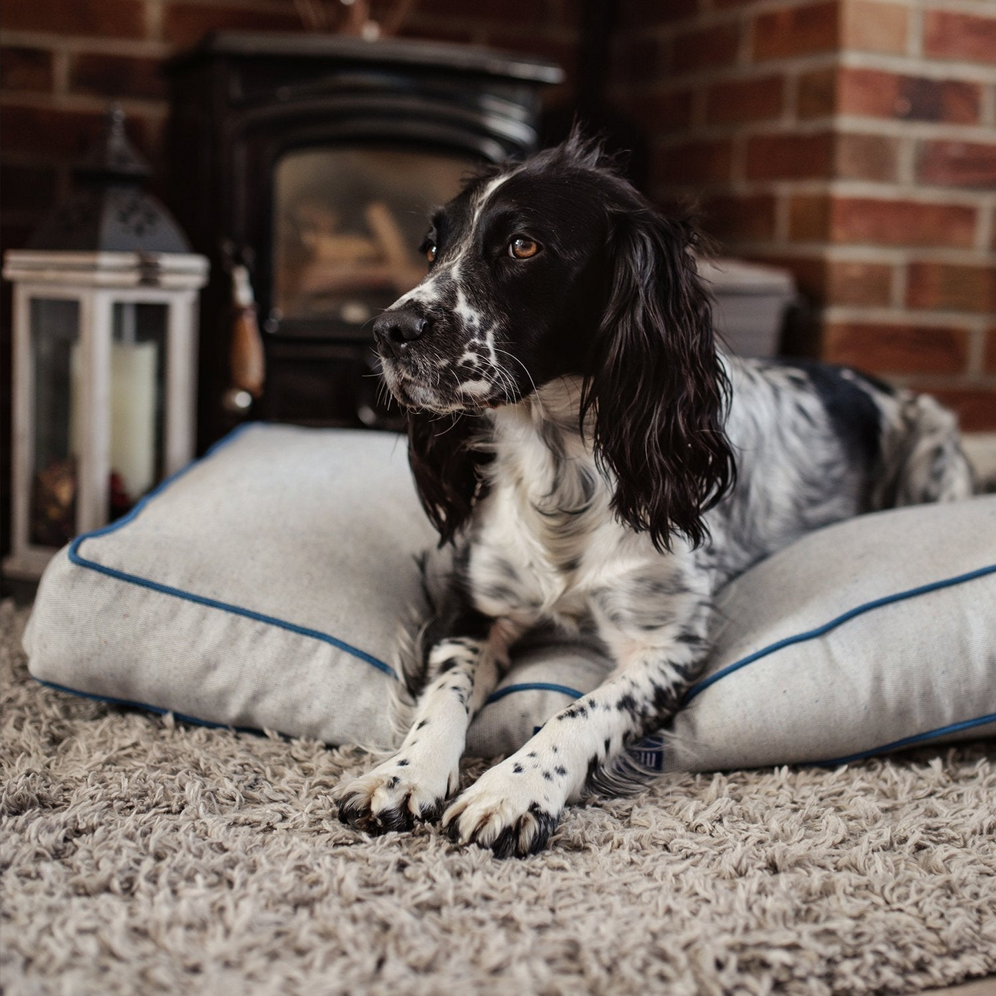 Bondi Eco-Fabric Mattress Dog Bed - Comfortable and Earth-Friendly | Shop Now