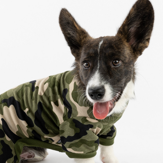 Dog Pajama - Camo | Comfy and Stylish Dog Onesie