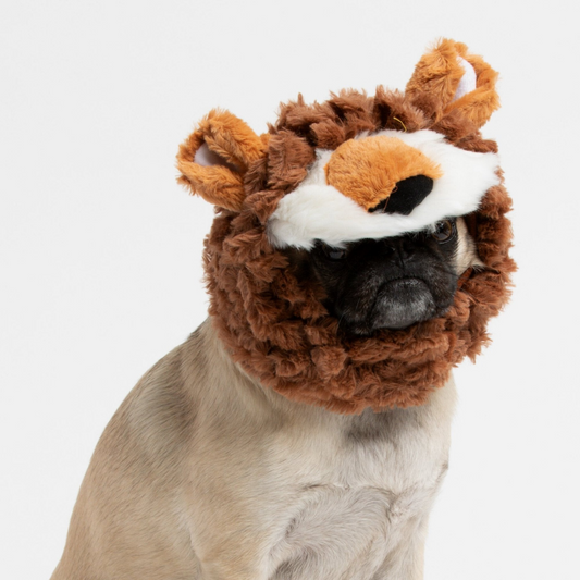 Lion Wig Costume for Dogs | Halloween Lion Hat | Plush Fleece