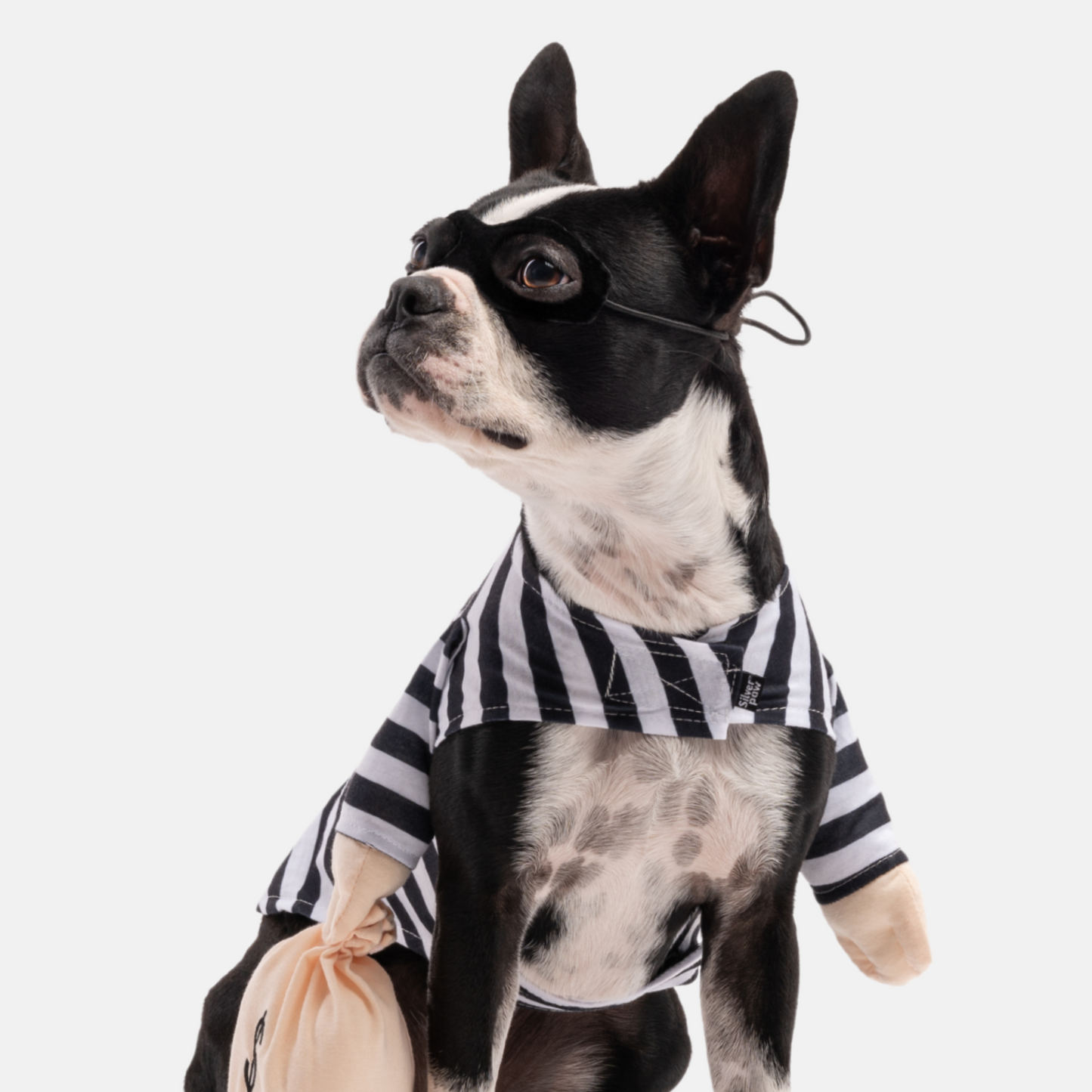 Bank Robber Dog Costume - Funny and Unique Pet Costume