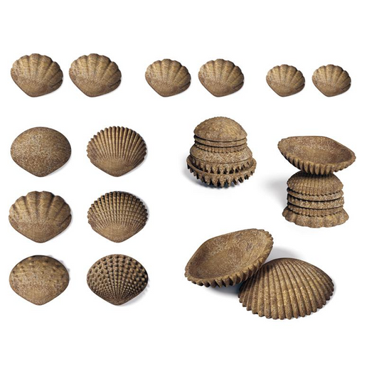 edxeducation Tactile Shells - Eco-Friendly - 36 Pieces