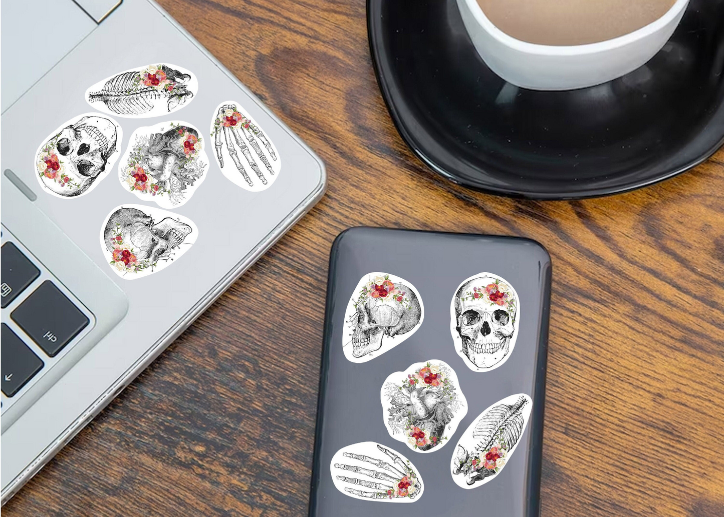 Educational Medical Skeleton Decals - Anatomy Stickers for Learning