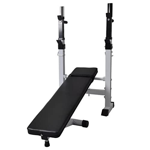 vidaXL Fitness Workout Bench Straight Weight Bench, 90366