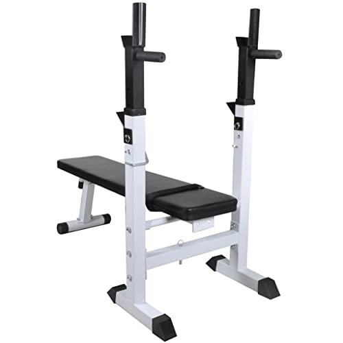 vidaXL Fitness Workout Bench Straight Weight Bench, 90366