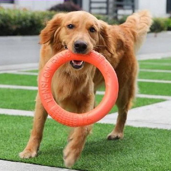 Dog Ring Toy - Interactive and Floatable Toy for Outdoor Play