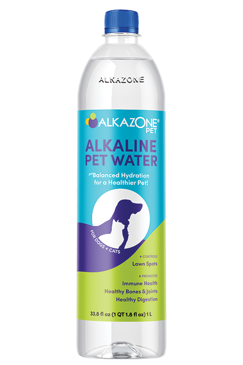 Alkazone Alkaline Water for Pets - 12 Pack of 1L Bottles