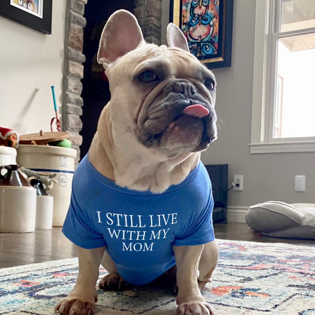 I Still Live With My Mom Dog Shirt - Fun and Stylish Dog Apparel